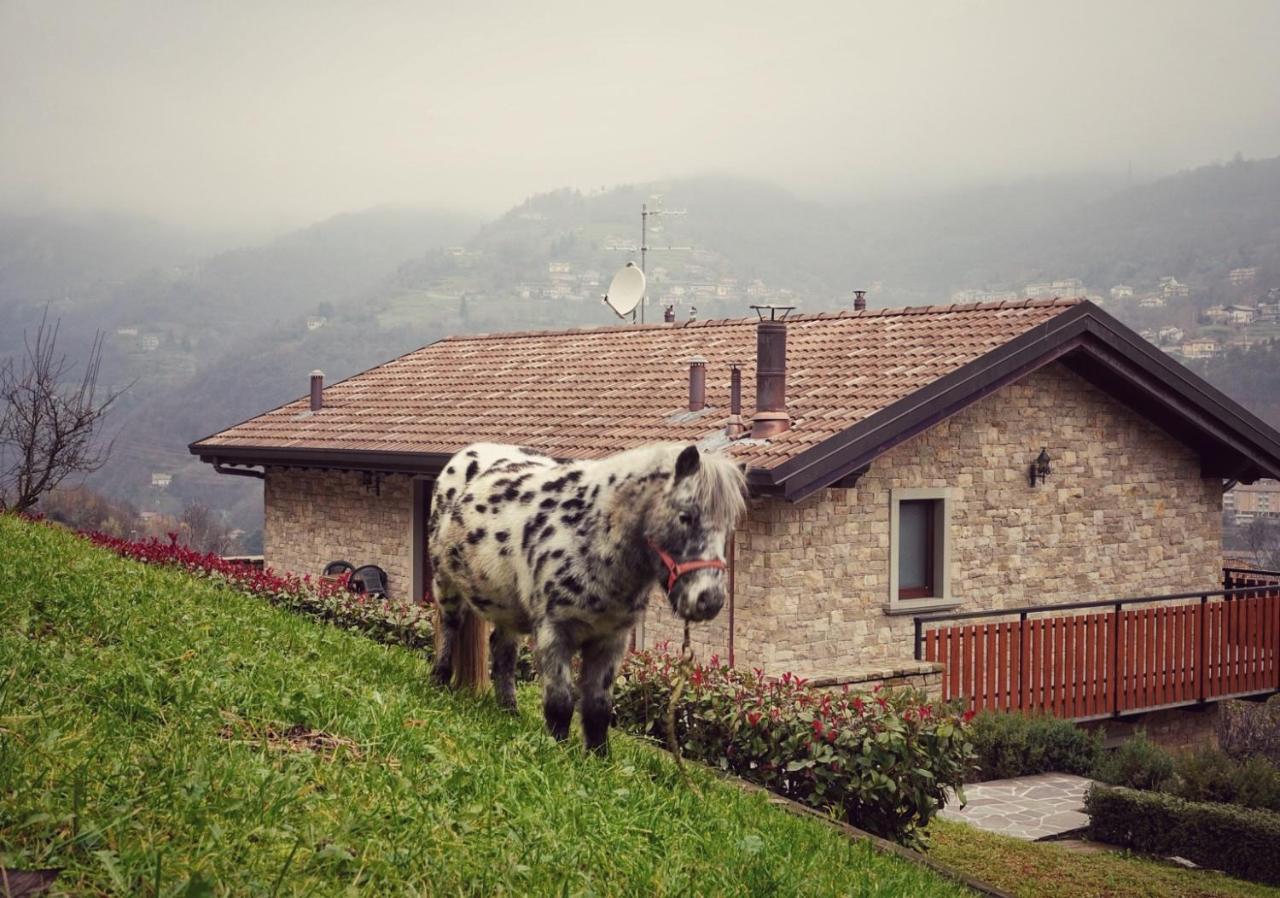 Casa Martina Villa Zogno ภายนอก รูปภาพ